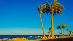 Sahl Hasheesh vs Hurghada